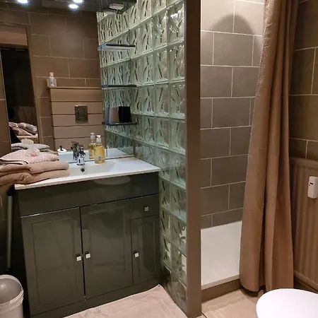 Superbe 2 Etoiles Parking Prive En Centre 엑스레뱅