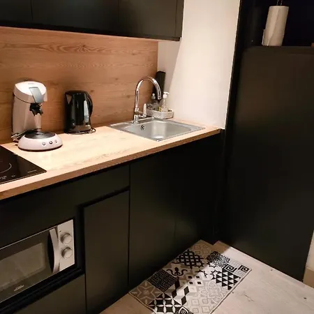 아파트 Superbe 2 Etoiles Parking Prive En Centre 엑스레뱅